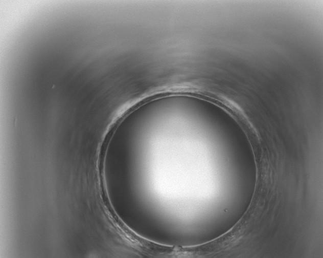 X0000061721176200512091952