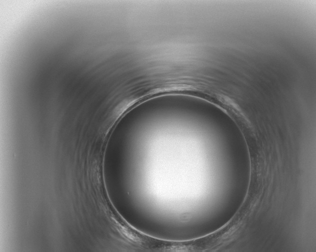 X0000061721177200512091952