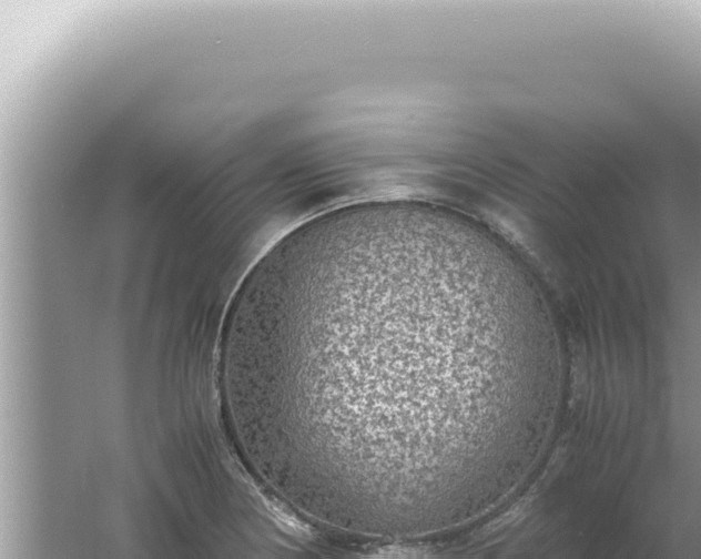 X0000061721178200512091952