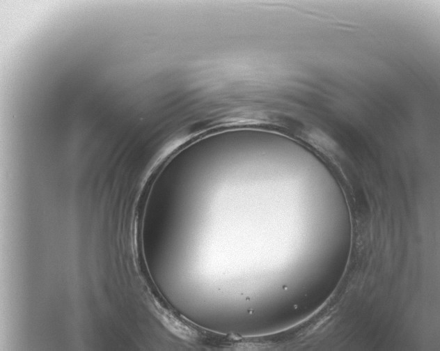 X0000061721179200512091952