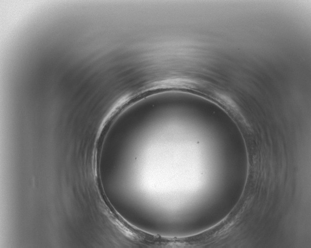 X0000061721180200512091952