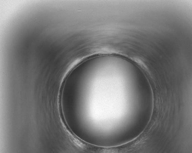 X0000061721183200512091952