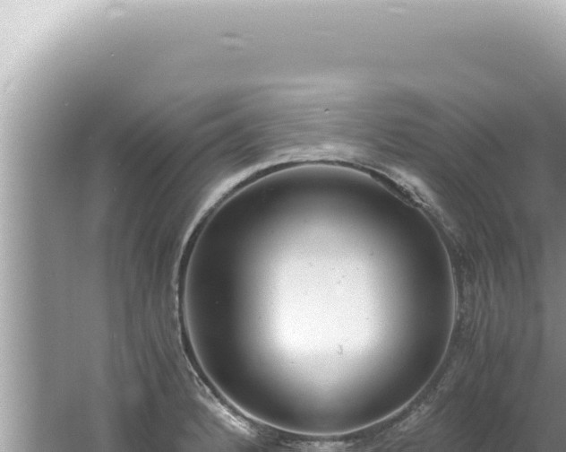 X0000061721184200512091952