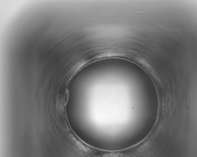 X0000061721185200512091952