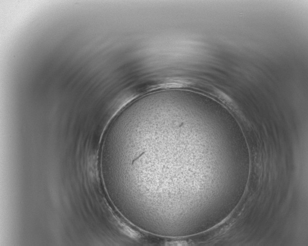 X0000061721186200512091952