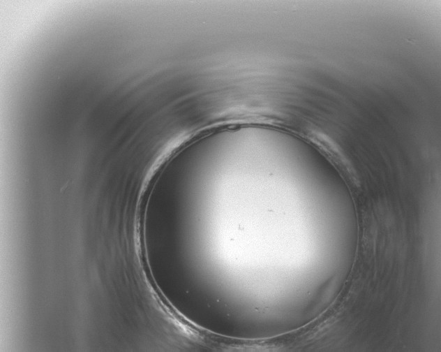 X0000061721188200512091952