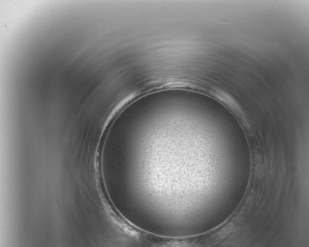 X0000061721190200512091952