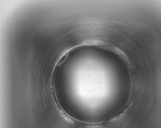 X0000061721192200512091952