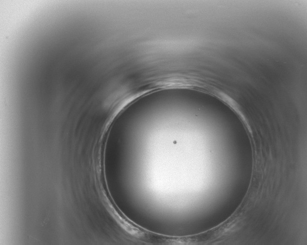 X0000061721195200512091952