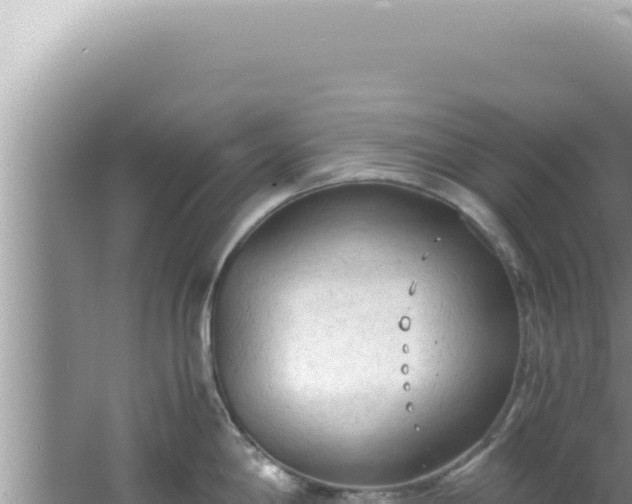 X0000061721198200512091952