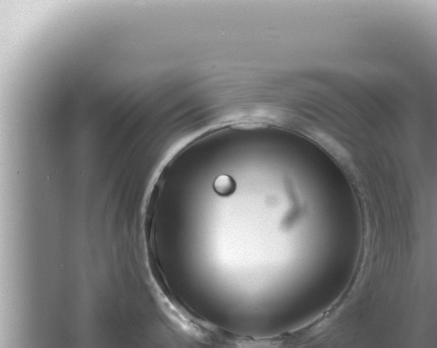 X0000061721200200512091952