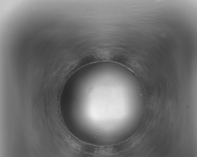 X0000061721201200512091951