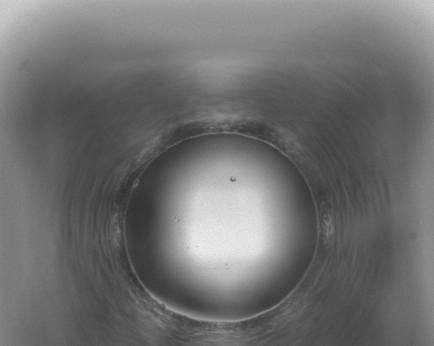 X0000061721204200512091951