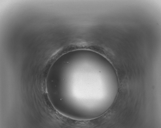 X0000061721205200512091951