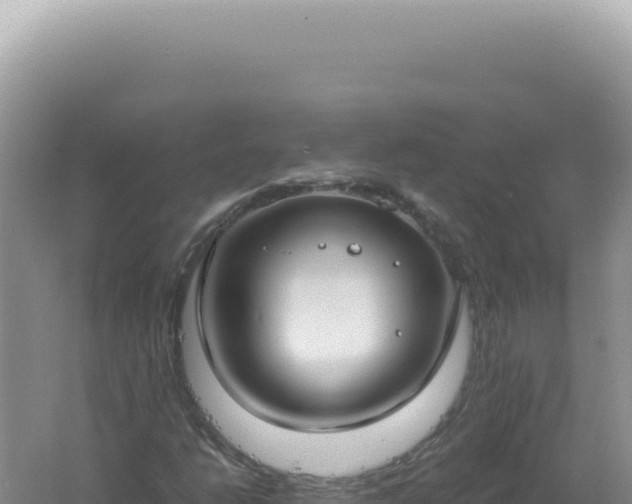 X0000061721206200512091951