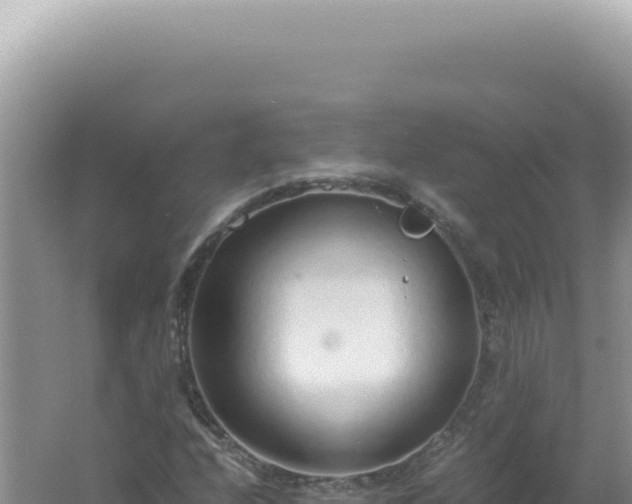 X0000061721208200512091951