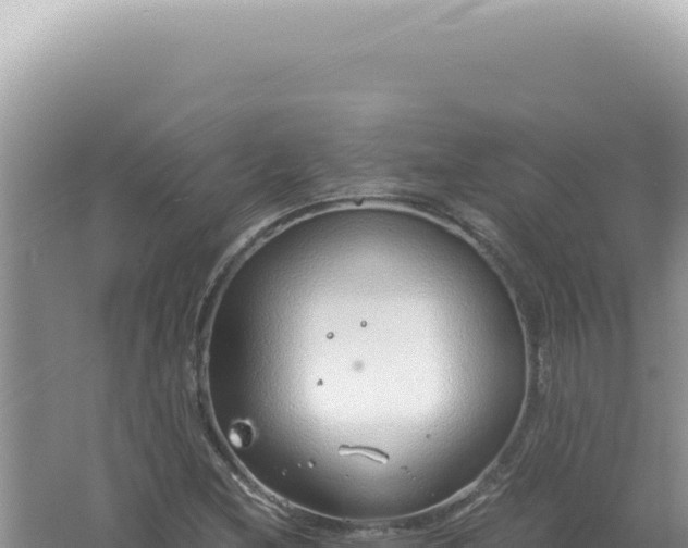 X0000061721212200512091951