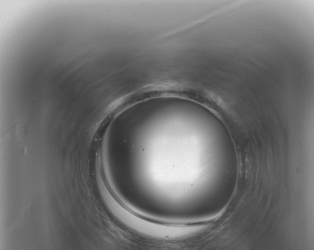 X0000061721213200512091951