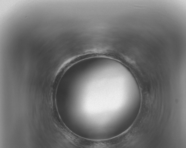 X0000061721214200512091951