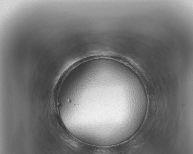 X0000061721215200512091951