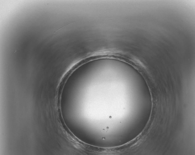 X0000061721216200512091951