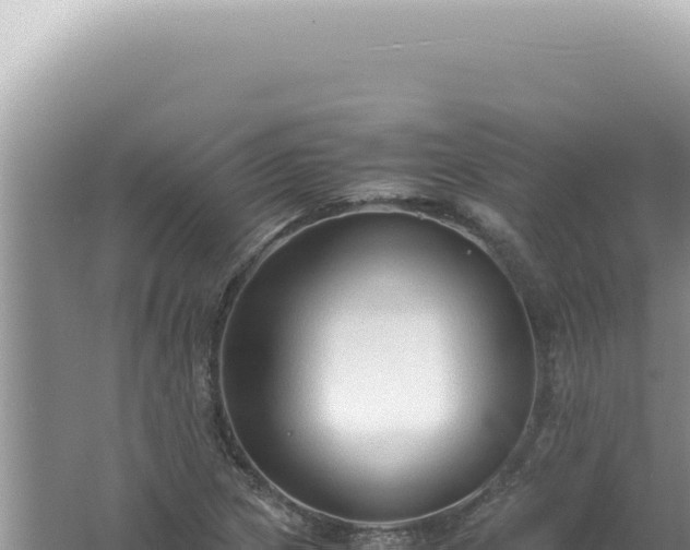 X0000061721217200512091952