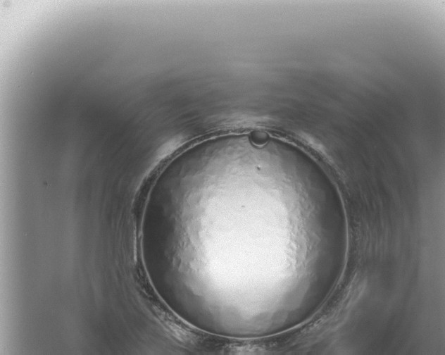 X0000061721219200512091952