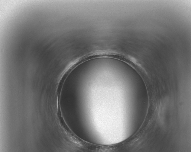 X0000061721221200512091952