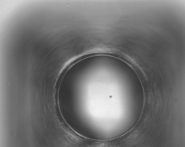 X0000061721222200512091952