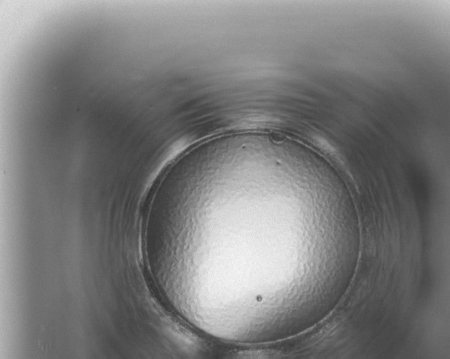 X0000061721227200512091952