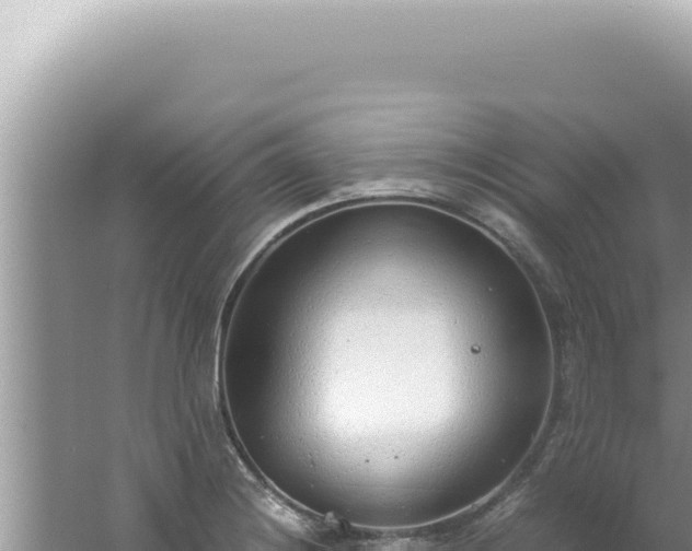 X0000061721228200512091952