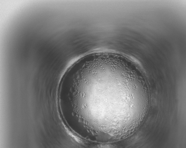 X0000061721231200512091952