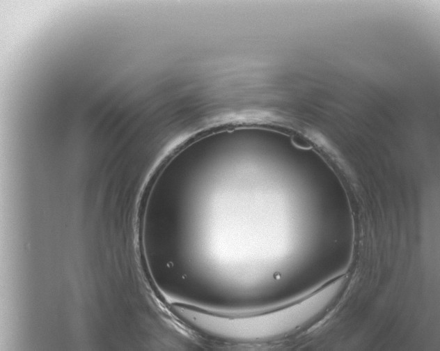 X0000061721232200512091952