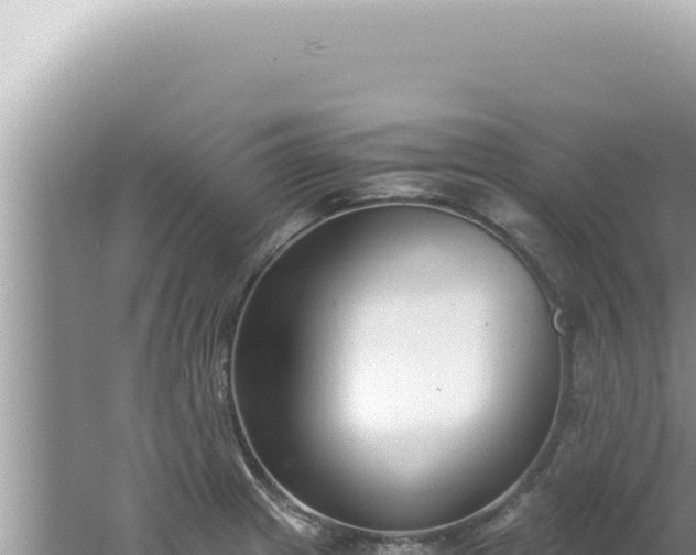 X0000061721233200512091952