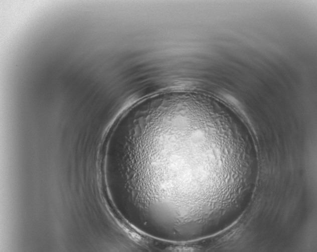 X0000061721235200512091952