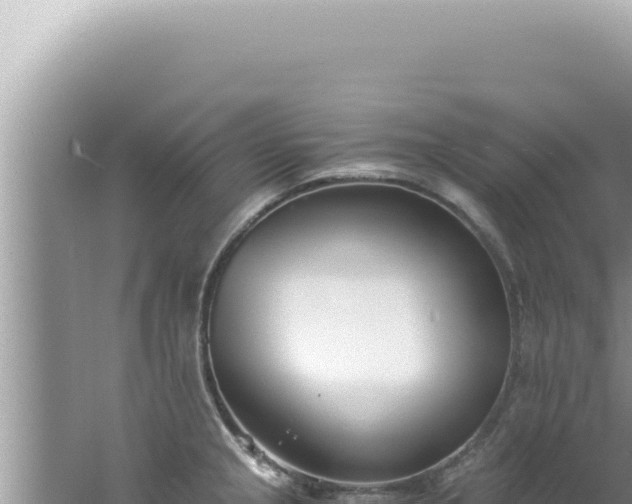 X0000061721237200512091952