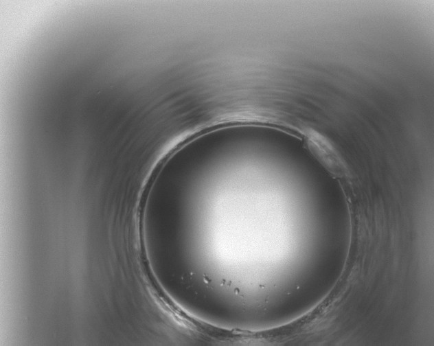 X0000061721238200512091952