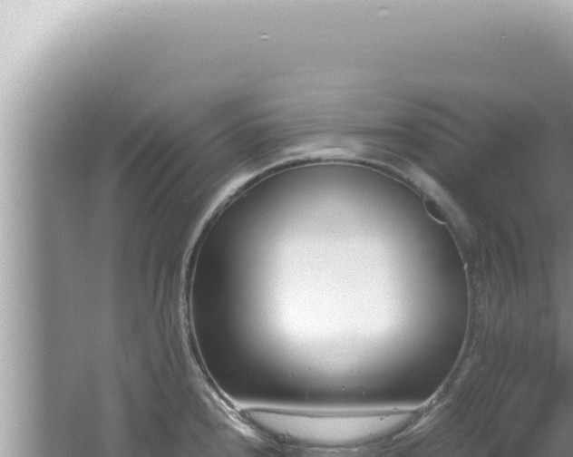 X0000061721240200512091952