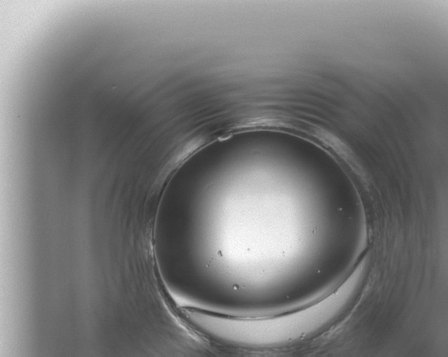 X0000061721241200512091952