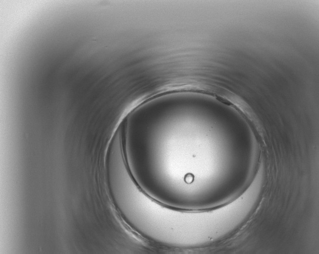 X0000061721242200512091952