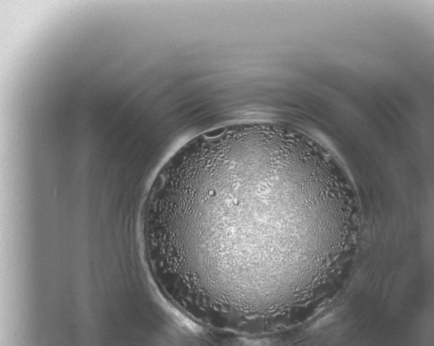 X0000061721243200512091952