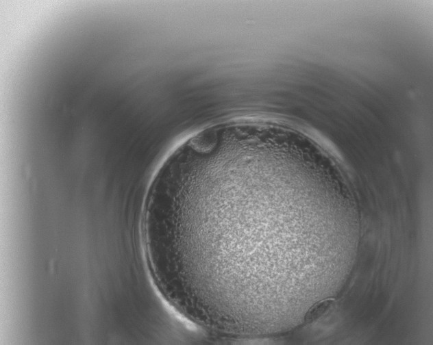 X0000061721247200512091952