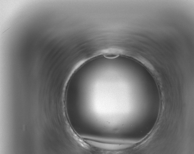 X0000061721248200512091952