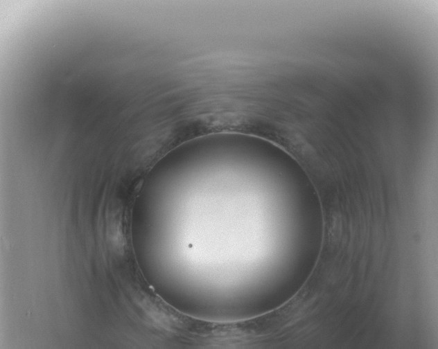 X0000061721250200512091951