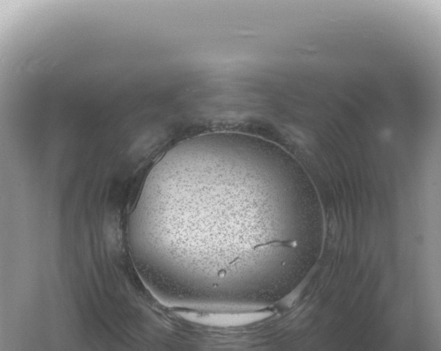 X0000061721252200512091951