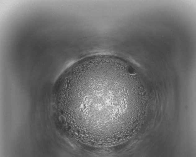 X0000061721255200512091951