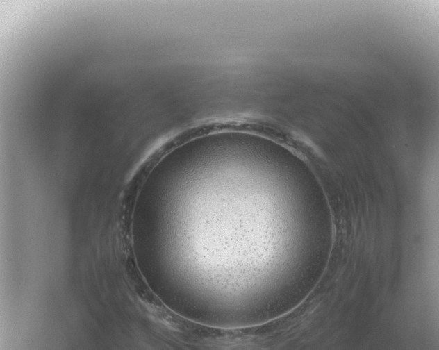 X0000061721256200512091951