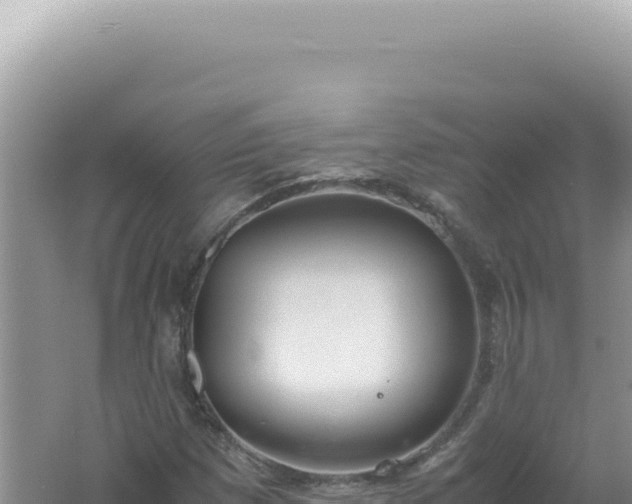 X0000061721257200512091951