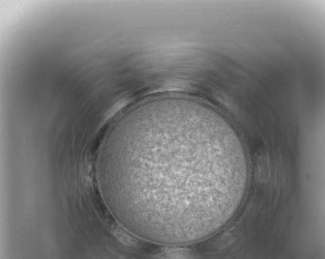 X0000061721258200512091951