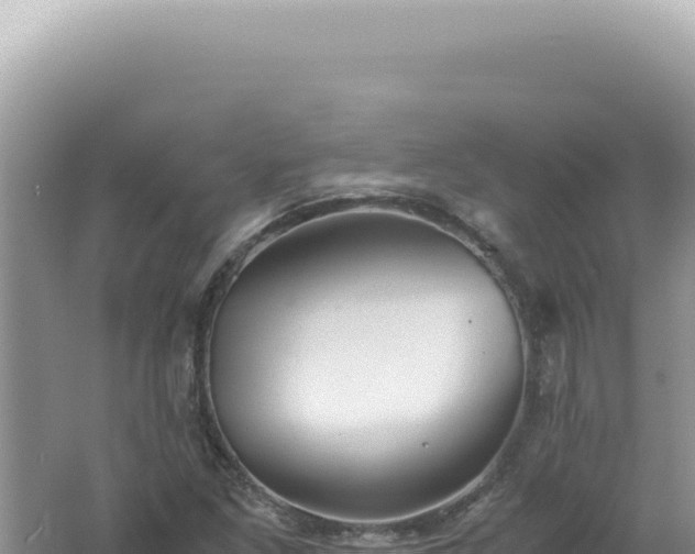 X0000061721261200512091951